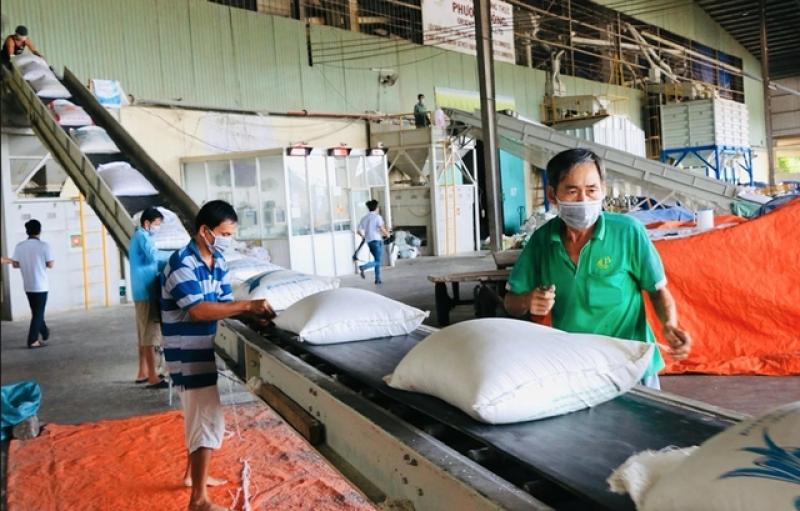 Vì sao gạo, cà phê kiến nghị bỏ thuế VAT?- Ảnh 1. Vì sao gạo, cà phê kiến nghị bỏ thuế VAT?- Ảnh 1.
