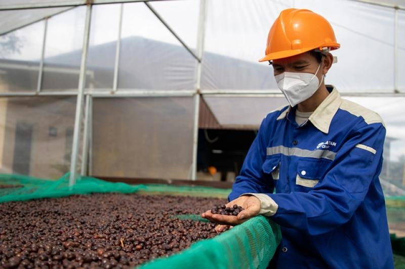 Vì sao gạo, cà phê kiến nghị bỏ thuế VAT?- Ảnh 2. Vì sao gạo, cà phê kiến nghị bỏ thuế VAT?- Ảnh 2.