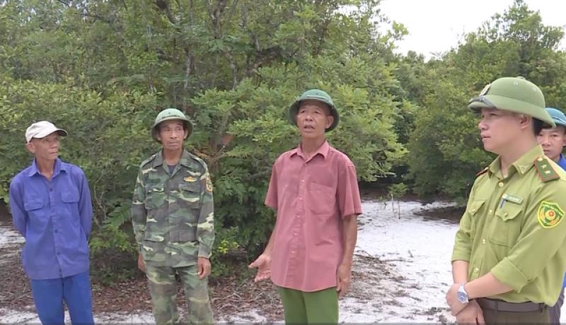 Báu vật vùng cát: Khám phá rừng trằm Trà Lộc và trâm bầu làng Thanh Bình - Ảnh 7. Báu vật vùng cát: Khám phá rừng trằm Trà Lộc và trâm bầu làng Thanh Bình - Ảnh 7.