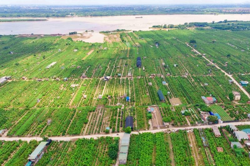Hà Nội cho phép khai thác đất bãi sông làm nông nghiệp kết hợp du lịch- Ảnh 2. Hà Nội cho phép khai thác đất bãi sông làm nông nghiệp kết hợp du lịch- Ảnh 2.