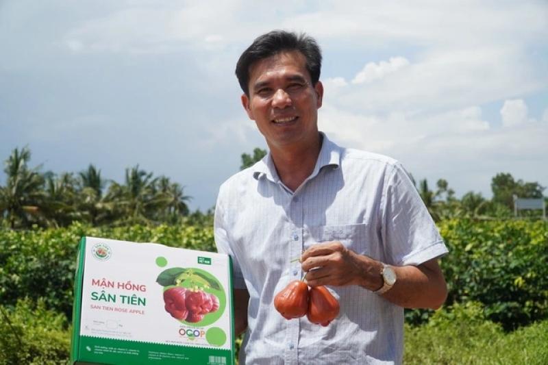 Mận hồng Sân Tiên ở miền Tây có gì lạ mà giá tới 230.000 đồng/kg? - Ảnh 3.