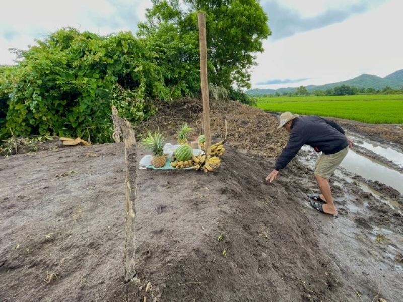 Hành trình đau thương của voi nhà Đắk Lắk và nỗi lòng của người nuôi voi - Ảnh 2. Hành trình đau thương của voi nhà Đắk Lắk và nỗi lòng của người nuôi voi - Ảnh 2.
