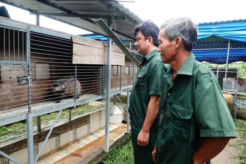 Từ tay trắng đến thu lãi hàng trăm triệu đồng nhờ nuôi chồn hương- Ảnh 1. Từ tay trắng đến thu lãi hàng trăm triệu đồng nhờ nuôi chồn hương- Ảnh 1.