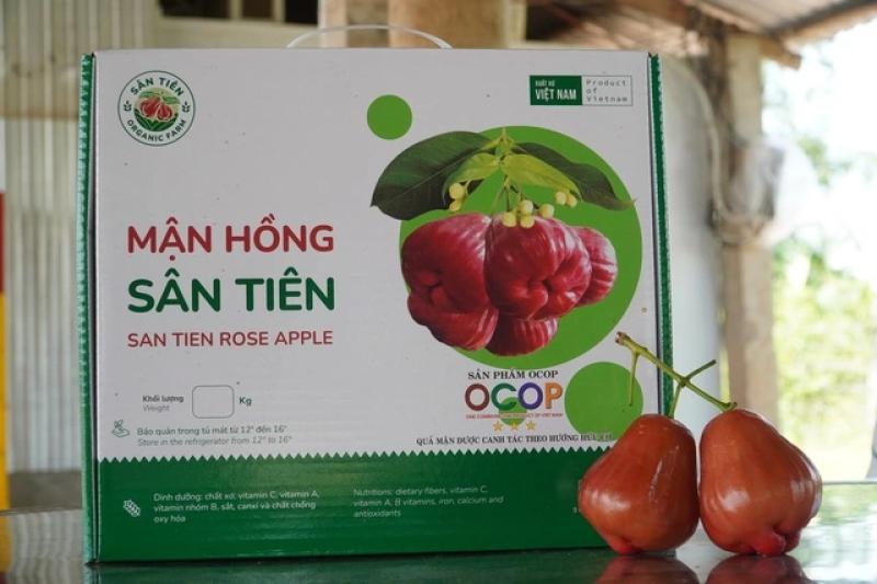 Mận hồng Sân Tiên ở miền Tây có gì lạ mà giá tới 230.000 đồng/kg? - Ảnh 4.