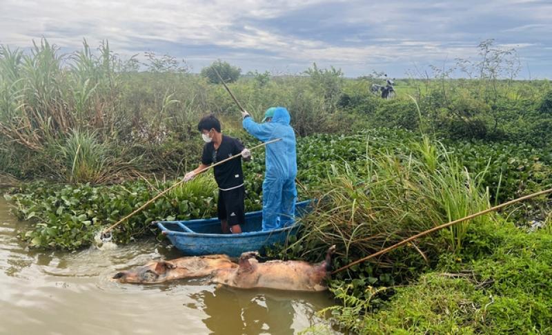 Quân đội sẽ vào cuộc đánh sập hầm lò khai thác vàng trái phép ở Vĩnh Ô- Ảnh 3. Quân đội sẽ vào cuộc đánh sập hầm lò khai thác vàng trái phép ở Vĩnh Ô- Ảnh 3.