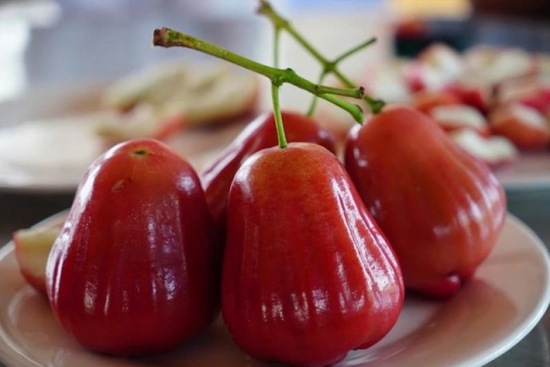 Mận hồng Sân Tiên ở miền Tây có gì lạ mà giá tới 230.000 đồng/kg? - Ảnh 1.