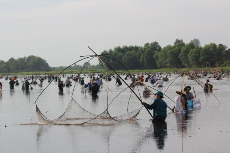 Báu vật vùng cát: Khám phá rừng trằm Trà Lộc và trâm bầu làng Thanh Bình - Ảnh 4. Báu vật vùng cát: Khám phá rừng trằm Trà Lộc và trâm bầu làng Thanh Bình - Ảnh 4.