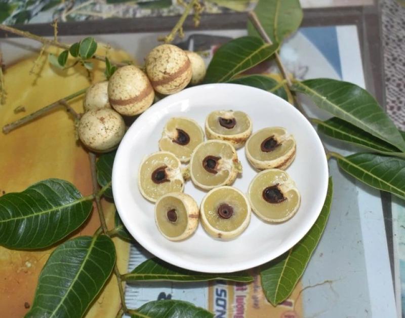 Độc đáo giống nhãn '2 trong 1' ở miền Tây- Ảnh 5. Độc đáo giống nhãn '2 trong 1' ở miền Tây- Ảnh 5.