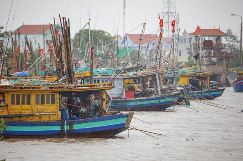 Quyền Bộ trưởng Bộ NN - MT kiểm tra ứng phó bão Wipha tại Ninh Bình - Ảnh 2. Quyền Bộ trưởng Bộ NN - MT kiểm tra ứng phó bão Wipha tại Ninh Bình - Ảnh 2.