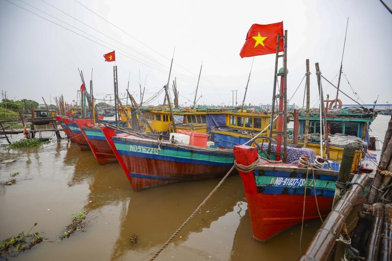 Hàng trăm tàu cá neo đậu về bờ biển Ninh Bình tránh bão số 3 (Wipha) - Ảnh 3.