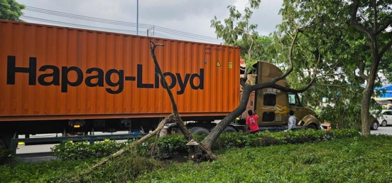 Xe container va ngã cây xanh trên đường Trần Văn Giàu: Ai đúng, ai sai?- Ảnh 1.