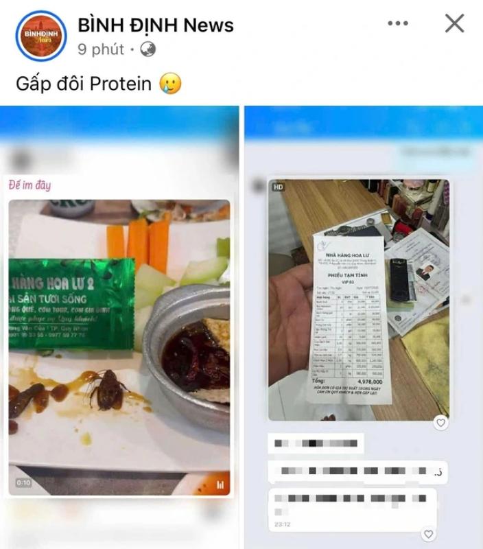 Gián trong món ăn tại nhà hàng Hoa Lư 2 ở Quy Nhơn gây xôn xao dư luận - Ảnh 1. Gián trong món ăn tại nhà hàng Hoa Lư 2 ở Quy Nhơn gây xôn xao dư luận - Ảnh 1.