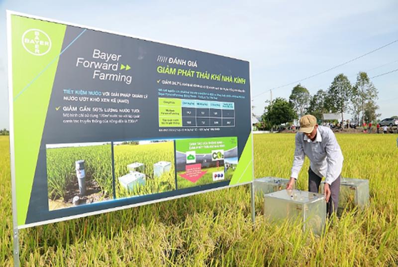 Bayer Việt Nam được vinh danh tại Top 50 Doanh nghiệp Phát triển Bền vững 2025 - Ảnh 2. Bayer Việt Nam được vinh danh tại Top 50 Doanh nghiệp Phát triển Bền vững 2025 - Ảnh 2.