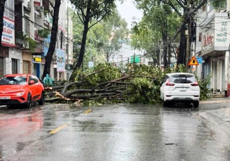 Đồng Nai: Hơn 26.000 khách hàng mất điện sau cơn mưa to kèm gió lớn- Ảnh 2. Đồng Nai: Hơn 26.000 khách hàng mất điện sau cơn mưa to kèm gió lớn- Ảnh 2.