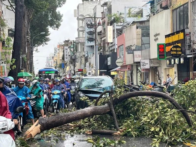 Gió lớn, nhiều cây xanh tét nhánh rơi xuống đường trung tâm TP.HCM - Ảnh 1.