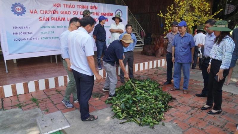Thân phận lục bình Nam bộ: Ai cũng muốn 'xử' lục bình- Ảnh 1. Thân phận lục bình Nam bộ: Ai cũng muốn 'xử' lục bình- Ảnh 1.