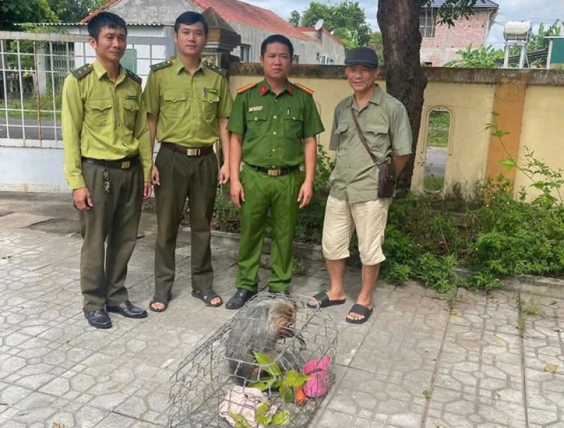 Khỉ mặt đỏ nhiều lần quậy phá, bị người dân bắt giữ giao nộp- Ảnh 1.