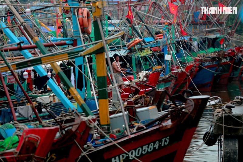 Người dân Hải Phòng căng mình ứng phó với bão số 3 (Wipha)- Ảnh 1. Người dân Hải Phòng căng mình ứng phó với bão số 3 (Wipha)- Ảnh 1.