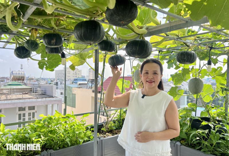 Cận cảnh vườn trên sân thượng ở TP . HCM thu 100 trái dưa lưới mỗi vụ - Ảnh 5.