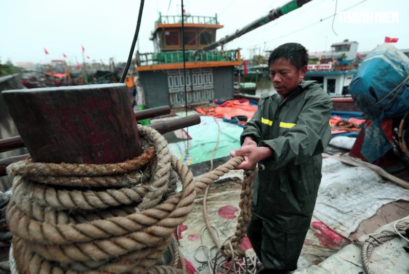 Người dân Hải Phòng căng mình ứng phó với bão số 3 (Wipha)- Ảnh 5. Người dân Hải Phòng căng mình ứng phó với bão số 3 (Wipha)- Ảnh 5.