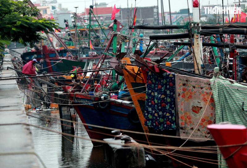 Người dân Hải Phòng căng mình ứng phó với bão số 3 (Wipha)- Ảnh 7. Người dân Hải Phòng căng mình ứng phó với bão số 3 (Wipha)- Ảnh 7.