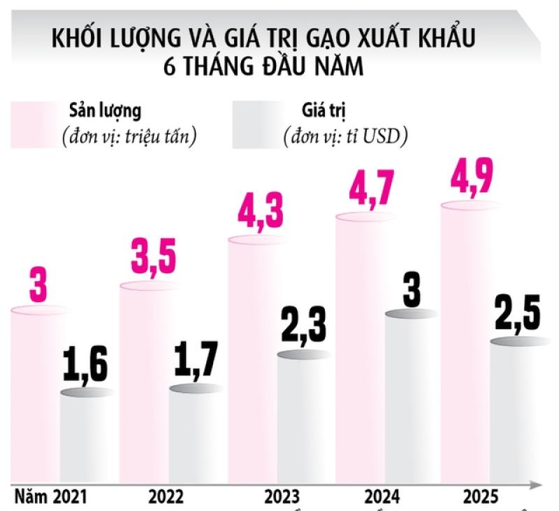 Xuất khẩu gạo Việt tăng kỷ lục- Ảnh 2. Xuất khẩu gạo Việt tăng kỷ lục- Ảnh 2.