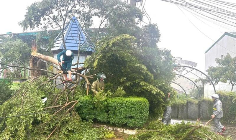 Lật xe chở sinh viên, cán bộ, chiến sĩ quân đội Lâm Đồng kịp thời cứu hộ - Ảnh 5.