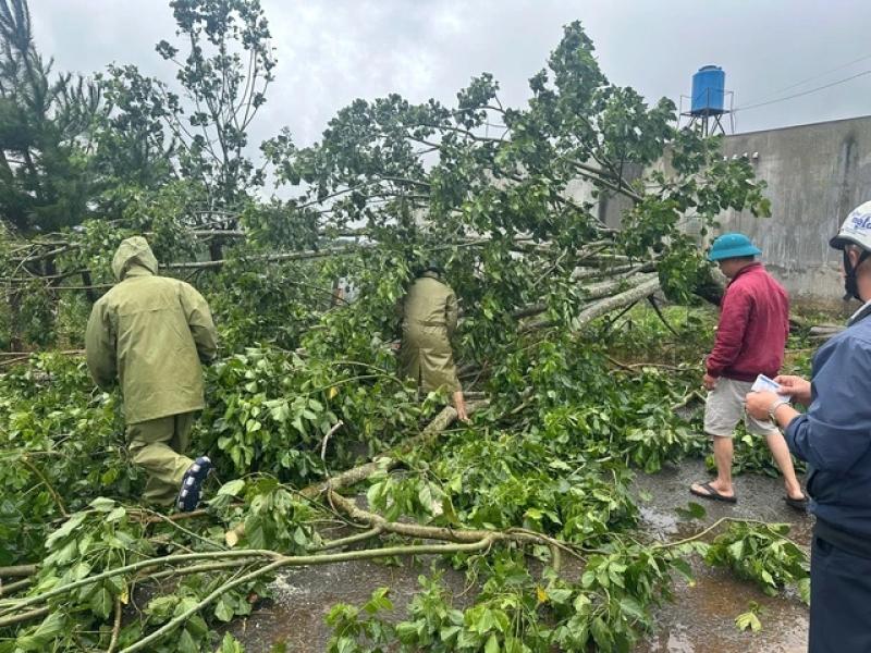 Lâm Đồng: Mưa lớn kèm gió giật kéo dài gây thiệt hại nặng - Ảnh 7. Lâm Đồng: Mưa lớn kèm gió giật kéo dài gây thiệt hại nặng - Ảnh 7.