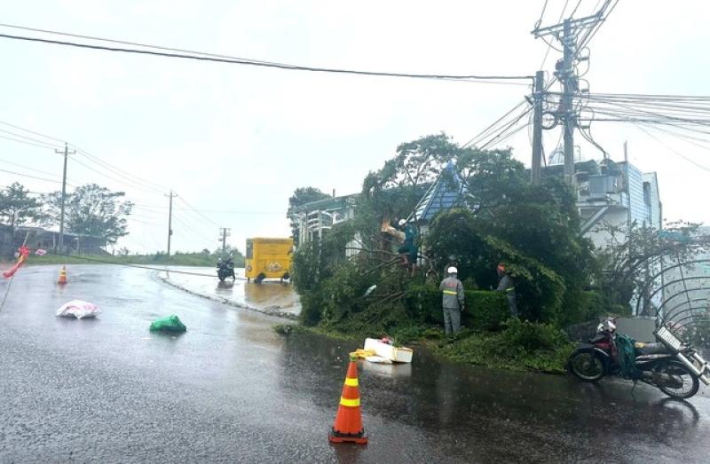 Lâm Đồng: Mưa lớn kèm gió giật kéo dài gây thiệt hại nặng - Ảnh 9. Lâm Đồng: Mưa lớn kèm gió giật kéo dài gây thiệt hại nặng - Ảnh 9.