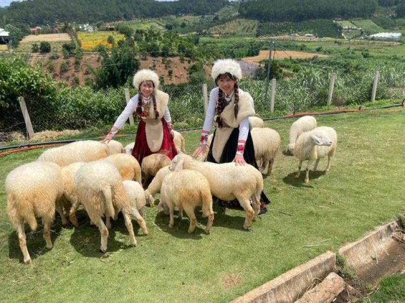 Phường Cam Ly - Đà Lạt: ‘Thủ phủ’ du lịch canh nông tỉnh Lâm Đồng- Ảnh 5. Phường Cam Ly - Đà Lạt: ‘Thủ phủ’ du lịch canh nông tỉnh Lâm Đồng- Ảnh 5.