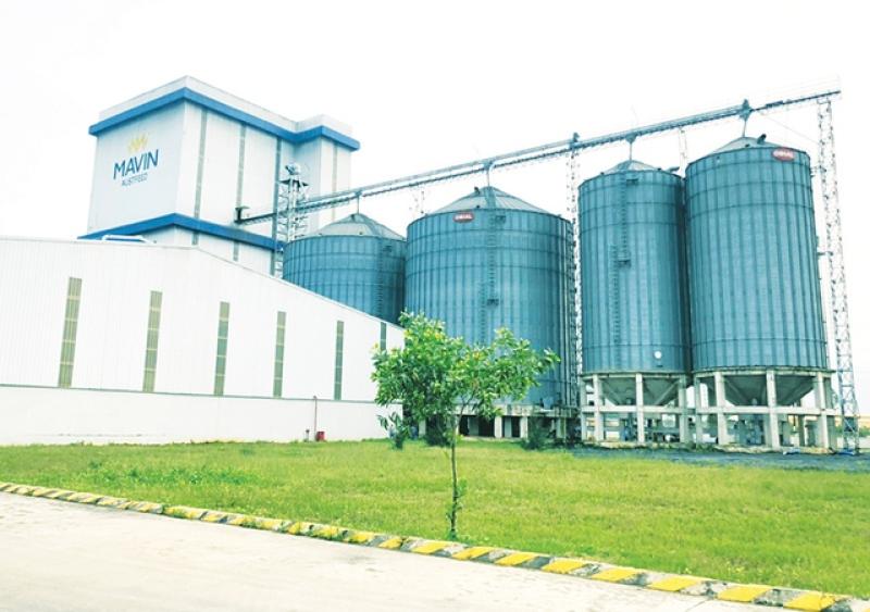 Mavin tiên phong chuẩn hóa ESG hướng đến nền nông nghiệp xanh- Ảnh 4. Mavin tiên phong chuẩn hóa ESG hướng đến nền nông nghiệp xanh- Ảnh 4.