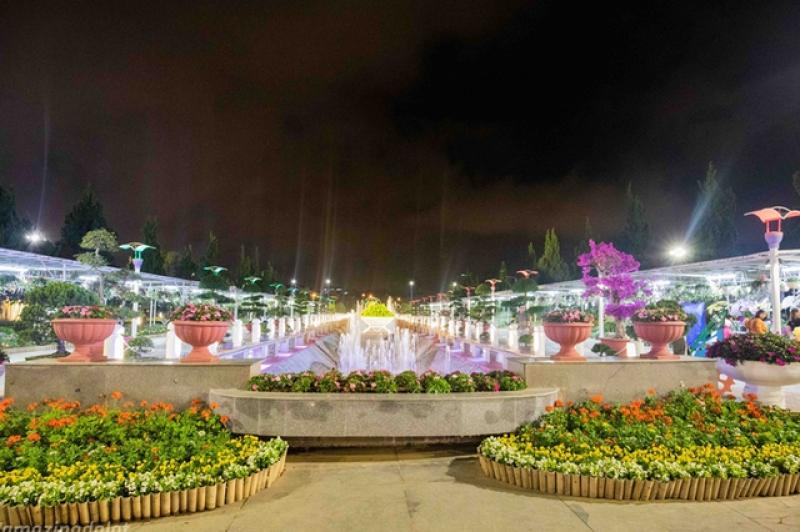 Lâm Viên - Đà Lạt, nơi hội tụ các làng hoa nổi tiếng- Ảnh 5. Lâm Viên - Đà Lạt, nơi hội tụ các làng hoa nổi tiếng- Ảnh 5.