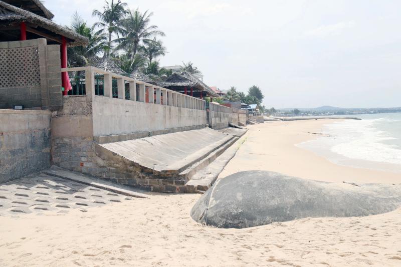 Những con 'quái vật' trên bãi biển Mũi Né- Ảnh 11.