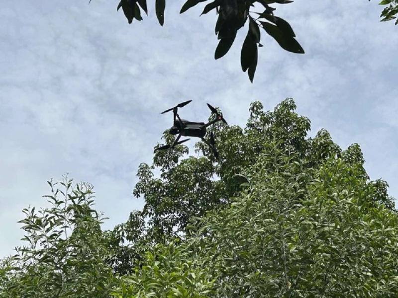 Khi drone tuần thám rừng - Ảnh 1.