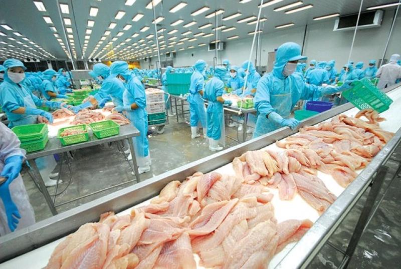 Mỹ mất vị trí nhập khẩu thủy sản lớn nhất của Việt Nam - Ảnh 1.