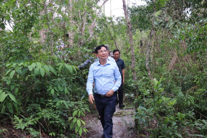 Chủ tịch Lâm Đồng họp giữa rừng chỉ đạo tháo gỡ khó khăn cho KCN Sơn Mỹ - Ảnh 3. Chủ tịch Lâm Đồng họp giữa rừng chỉ đạo tháo gỡ khó khăn cho KCN Sơn Mỹ - Ảnh 3.