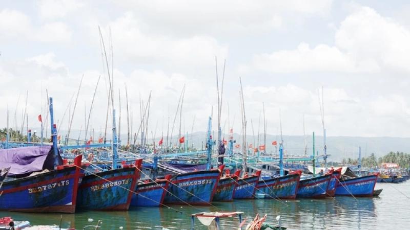 Chống khai thác IUU, Gia Lai buộc 650 tàu cá nằm bờ- Ảnh 1. Chống khai thác IUU, Gia Lai buộc 650 tàu cá nằm bờ- Ảnh 1.