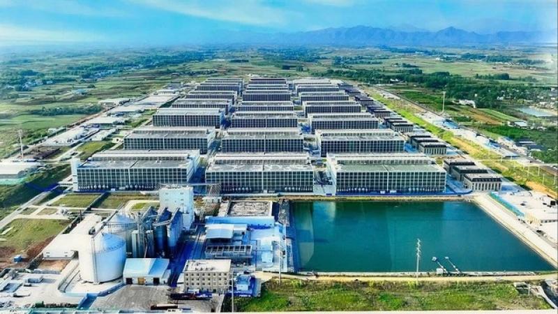 Chưa từng có tại Việt Nam: Heo ăn chay sẽ được đưa vào nuôi trong 'chung cư'- Ảnh 1. Chưa từng có tại Việt Nam: Heo ăn chay sẽ được đưa vào nuôi trong 'chung cư'- Ảnh 1.