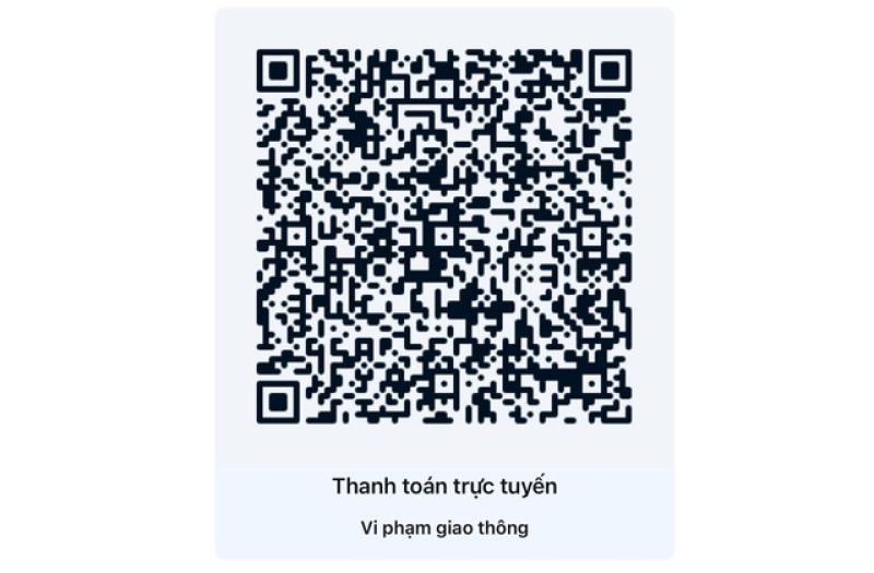 CSGT TP.HCM hướng dẫn cách nộp phạt vi phạm giao thông online mới nhất 2025 - Ảnh 11.