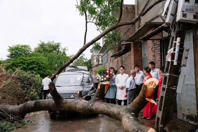 Bộ ảnh cưới độc đáo bên gốc cây ngã đổ sau bão gây sốt giới trẻ - Ảnh 2. Bộ ảnh cưới độc đáo bên gốc cây ngã đổ sau bão gây sốt giới trẻ - Ảnh 2.