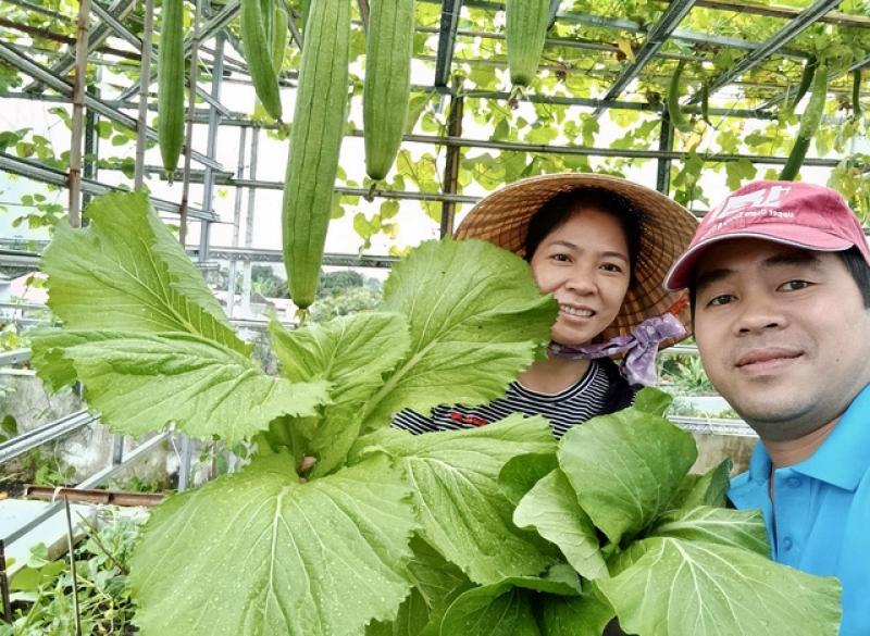 Mê trồng rau sạch từ thời còn ở trọ: Gia chủ bội thu, khỏi cần đi chợ - Ảnh 2.