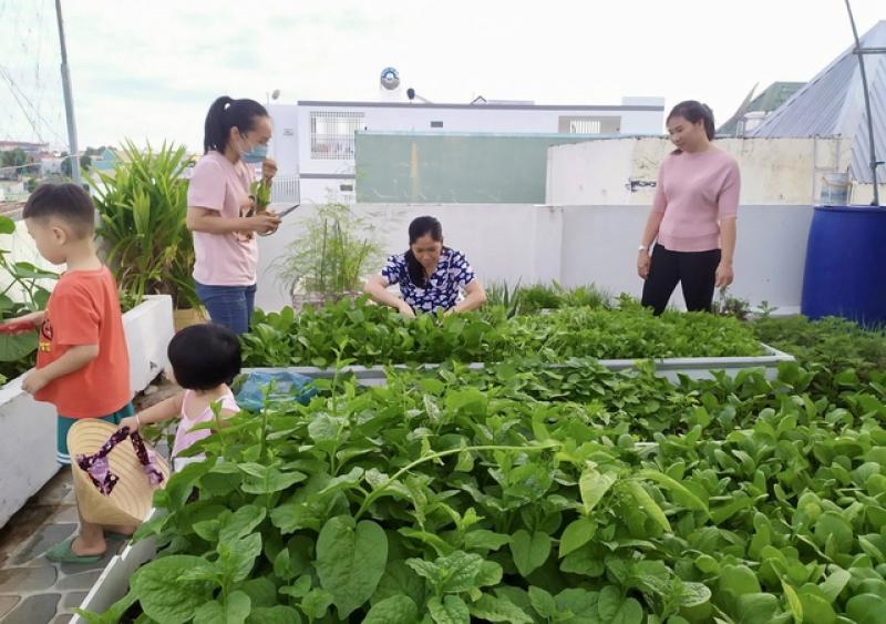 Mê trồng rau sạch từ thời còn ở trọ: Gia chủ bội thu, khỏi cần đi chợ - Ảnh 11.