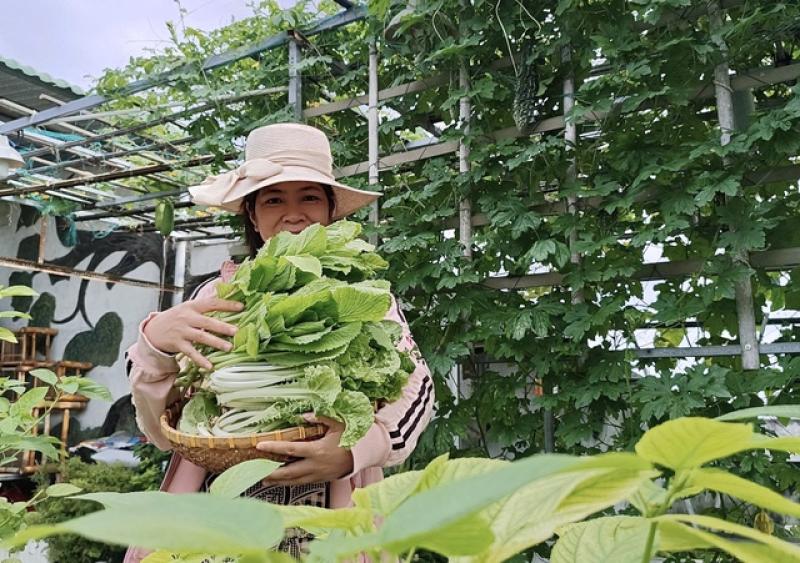 Mê trồng rau sạch từ thời còn ở trọ: Gia chủ bội thu, khỏi cần đi chợ - Ảnh 10.