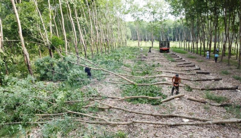 Phó thủ tướng phê bình Bộ Tài chính, yêu cầu hoàn thiện báo cáo trước 5.7- Ảnh 4. Phó thủ tướng phê bình Bộ Tài chính, yêu cầu hoàn thiện báo cáo trước 5.7- Ảnh 4.