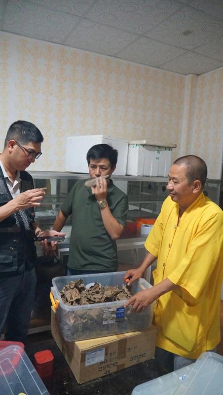 Khát vọng trầm hương của 'nhà sư Thị Kính': Rừng dó bầu nơi cửa Phật- Ảnh 2. Khát vọng trầm hương của 'nhà sư Thị Kính': Rừng dó bầu nơi cửa Phật- Ảnh 2.