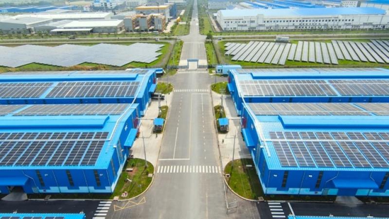 Khu kho cảng Thành Thành Công: Mắt xích logistics liền mạch và hiệu quả - Ảnh 1.