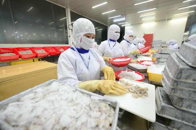 Nghịch lý thủy sản xuất khẩu khó bán nội địa- Ảnh 2. Nghịch lý thủy sản xuất khẩu khó bán nội địa- Ảnh 2.
