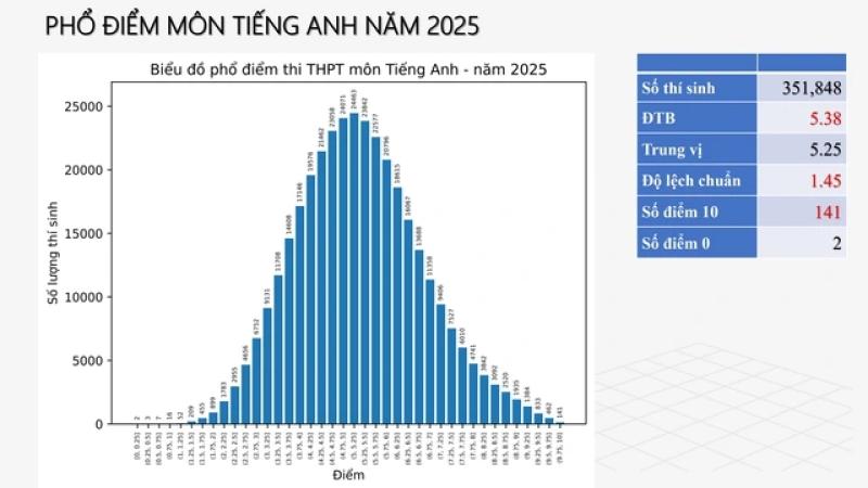 Phổ điểm thi tốt nghiệp THPT 2025: Điểm trung bình, trung vị, độ lệch chuẩn là gì? - Ảnh 3.