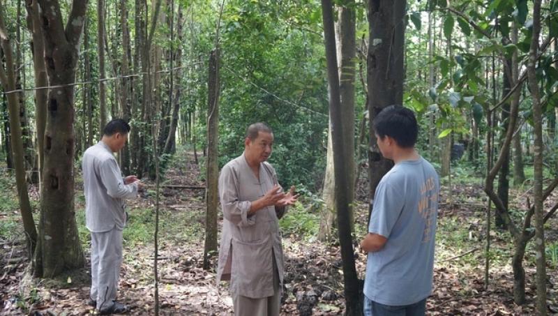 Khát vọng trầm hương của 'nhà sư Thị Kính': Rừng dó bầu nơi cửa Phật- Ảnh 4. Khát vọng trầm hương của 'nhà sư Thị Kính': Rừng dó bầu nơi cửa Phật- Ảnh 4.