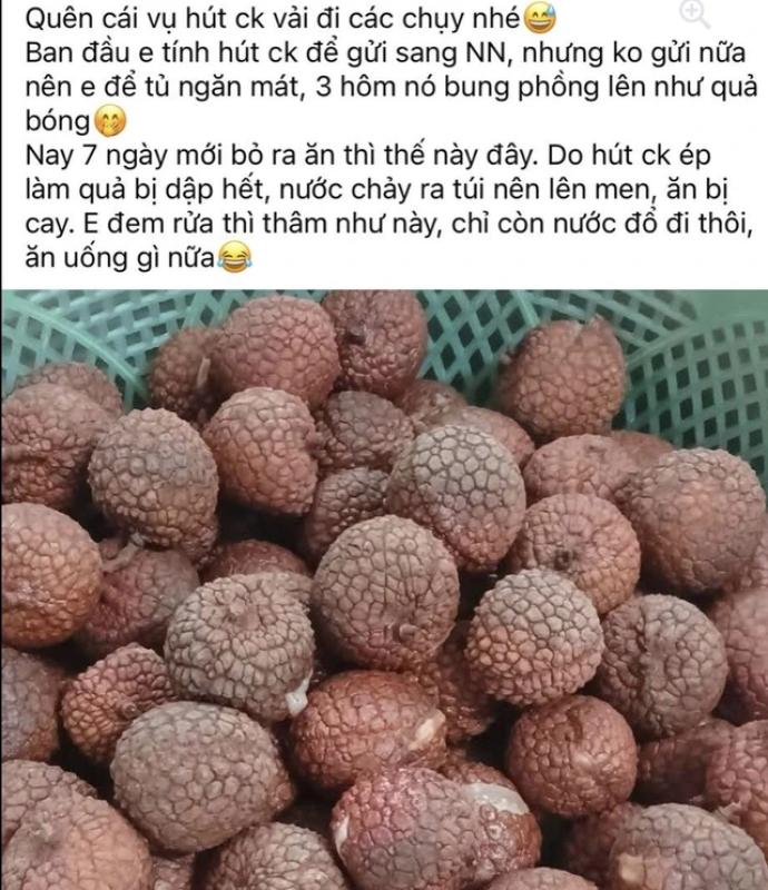 Vì sao không nên hút chân không để bảo quản vải thiều ăn dần hiệu quả hơn? - Ảnh 1.